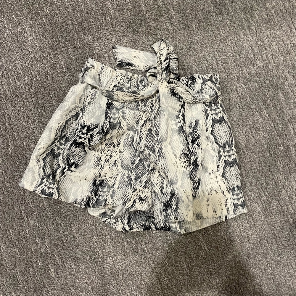 Zara Shorts